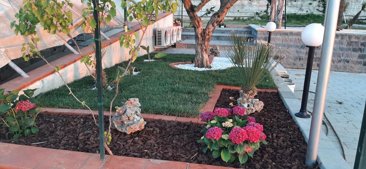 Villa Mola Bed And Breakfast Corbara  Exterior foto