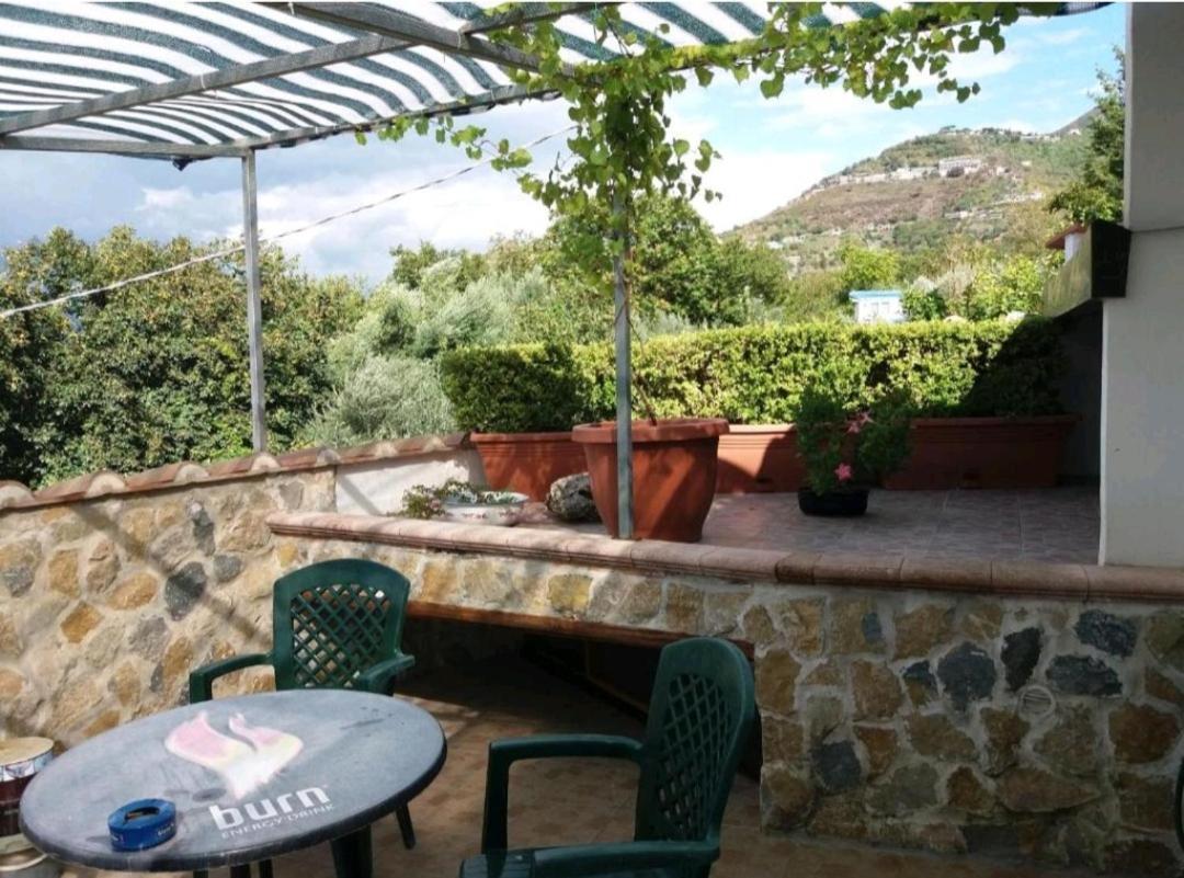 Villa Mola Bed And Breakfast Corbara  Exterior foto