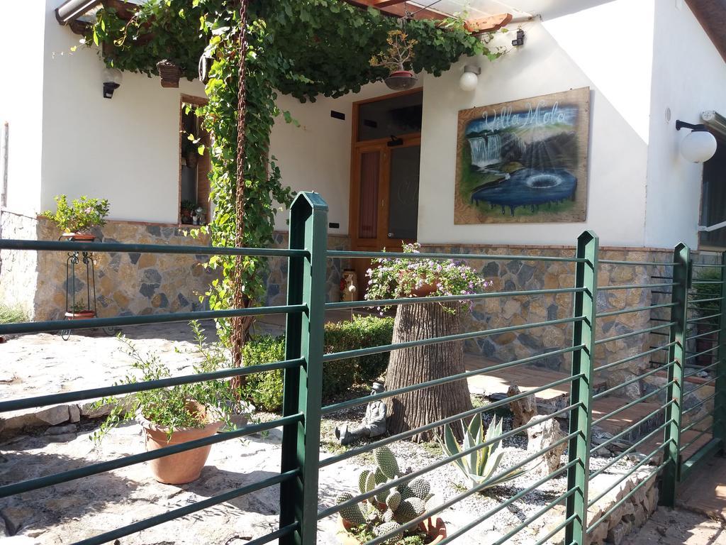 Villa Mola Bed And Breakfast Corbara  Exterior foto