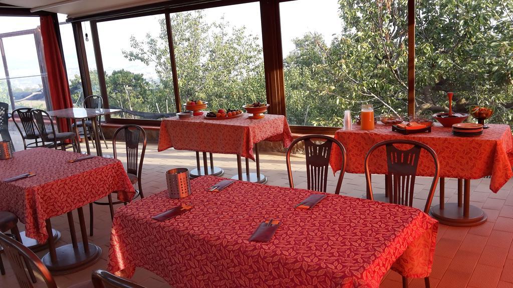 Villa Mola Bed And Breakfast Corbara  Exterior foto