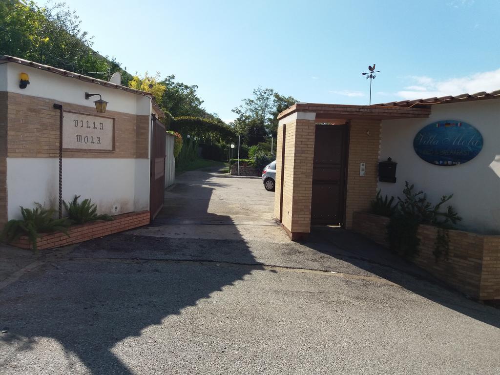 Villa Mola Bed And Breakfast Corbara  Exterior foto